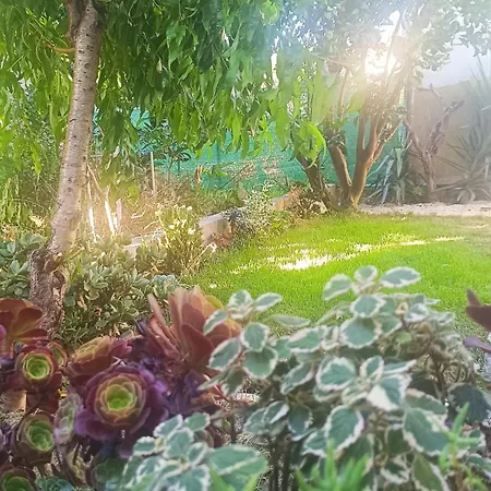 Camellia Apartmán *